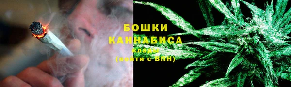 стаф Бородино