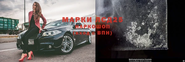 стаф Бородино