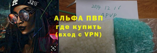 стаф Бородино