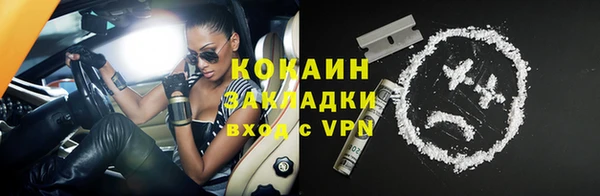 стаф Бородино