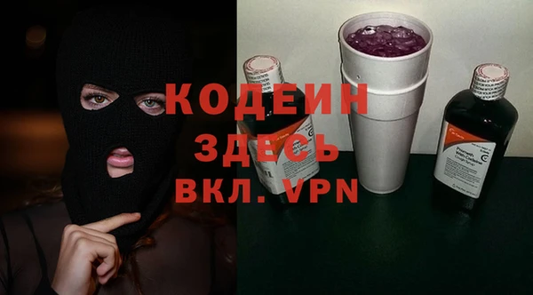 стаф Бородино