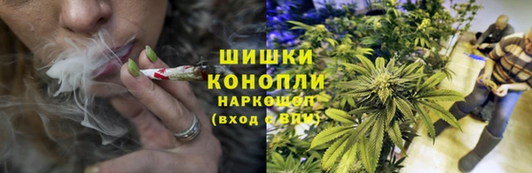 стаф Бородино