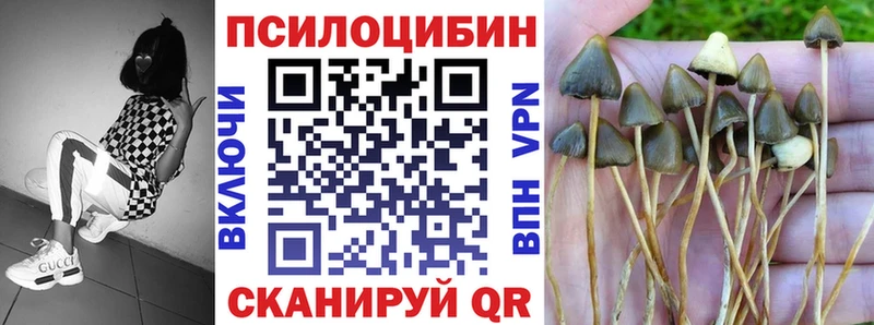 Галлюциногенные грибы Cubensis Новый Оскол