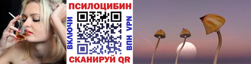 как найти закладки  Новый Оскол  Галлюциногенные грибы Magic Shrooms 